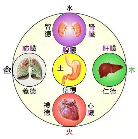 五行 胃|（十二）胃气为本